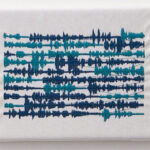 03 bufardeci 2006 detail6