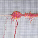 05 first jewish roman war.jpg