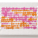 09 bufardeci 2006 detail7