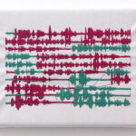 10 bufardeci 2006 detail12