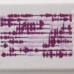 11 bufardeci 2006 detail9