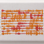 12 bufardeci 2006 detail10