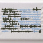 13 bufardeci 2006 detail8