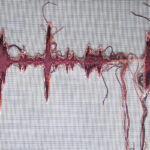 16 french and iroquois war