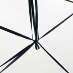 23 8 schwartz bufardeci 10