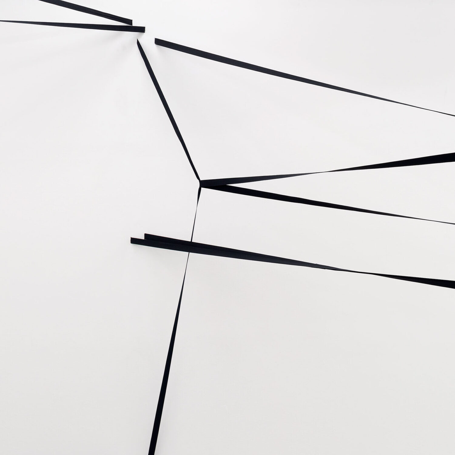 23 8 schwartz bufardeci 19