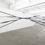 23 8 schwartz bufardeci 3