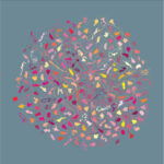 Recent plans for the equal distribution of men and women