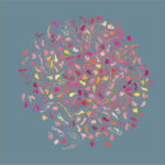 Recent plans for the equal distribution of internet suppliers