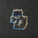 Looking in to the land attached (3)