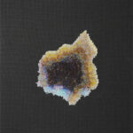 Looking in to the land attached (6)