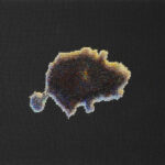 Looking in to the land attached (8)